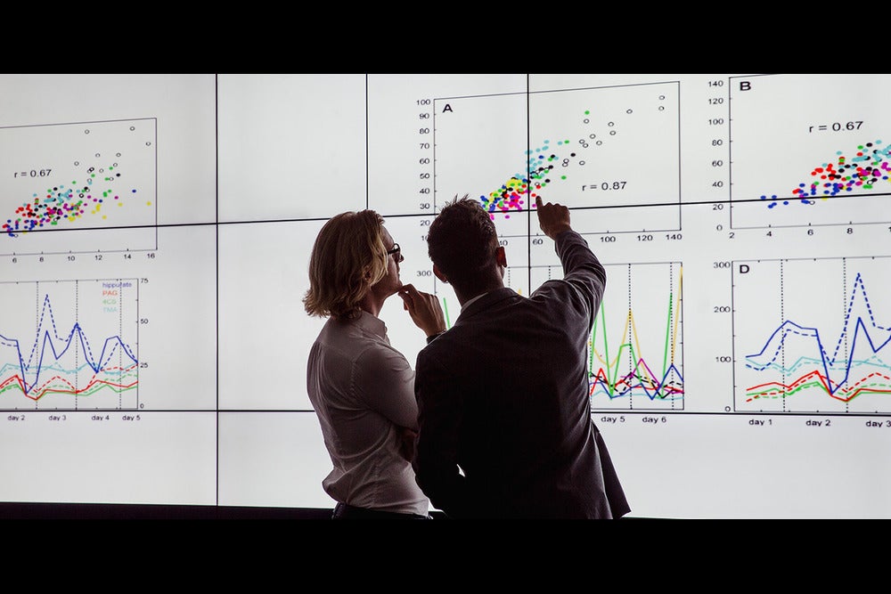 Data scientists at work looking at a screen