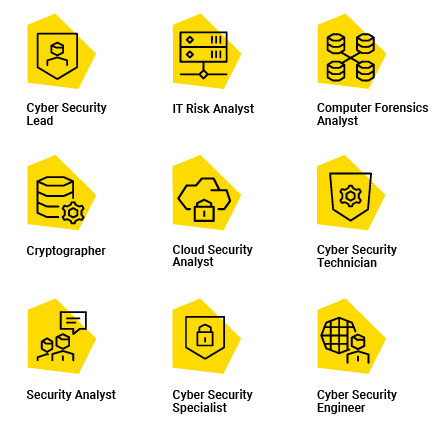 A 3x3 grid of icons for the career outcomes.