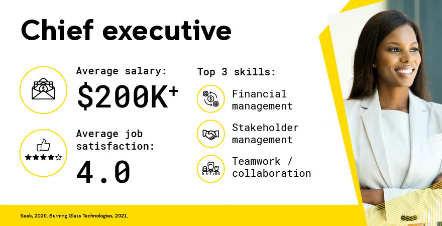 UNSW Online Chief Executive Career